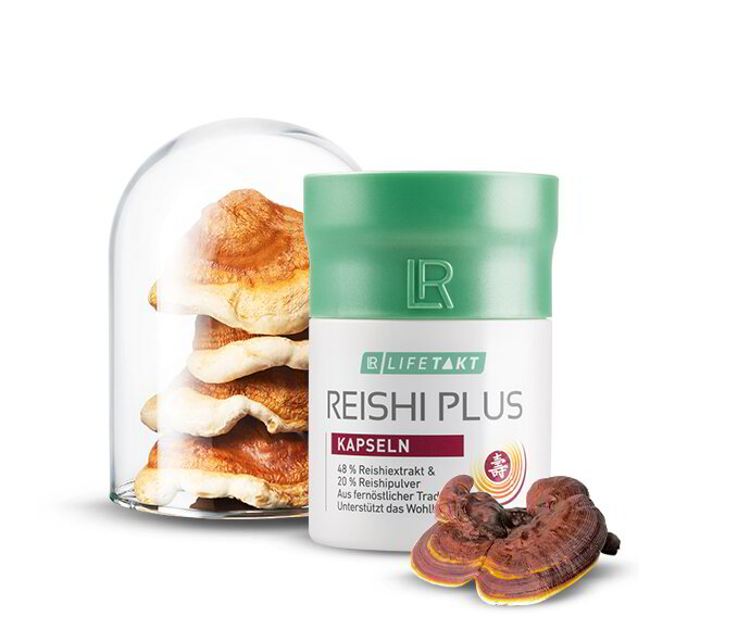 Reishi